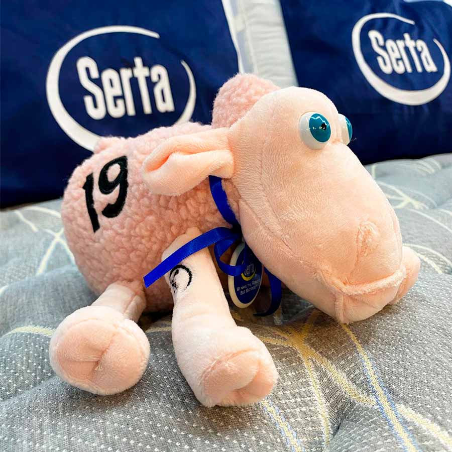 Adopta una Oveja Pink